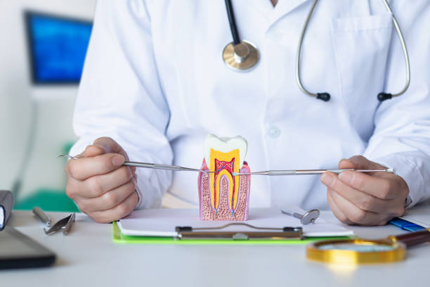 Best Emergency Broken Tooth Repair in West Jefferson, OH
